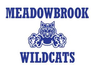 Meadowbrook Wildcats logo, image of a blue wildcat